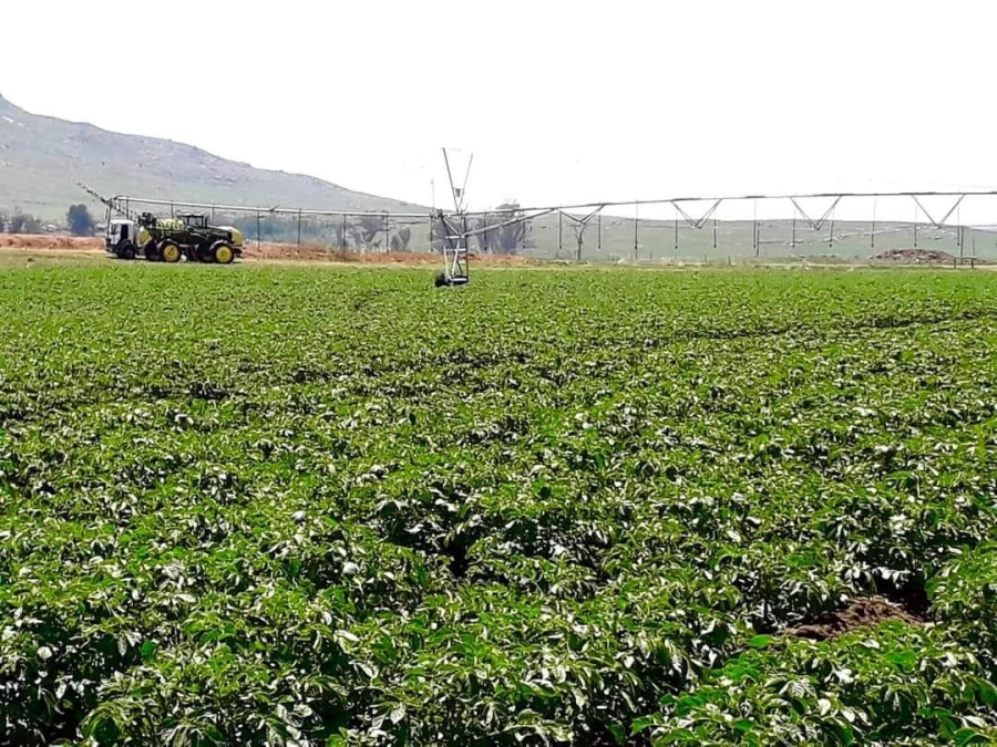Commercial Property for Sale in Kestell Rural Free State